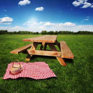 douglas picknicktafel kopen online
